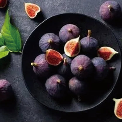 🏆65K+ SOLD!🌿Fig Seeds– America's Favorite Fig for Patio & Container Gardening! Easy to Grow, Sweet Harvest.