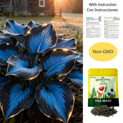 🌟Spring & Winter Growing🍃Premium Rare Hosta Seeds🌿Perfect For Cut Flowers【98% Germination Rate】