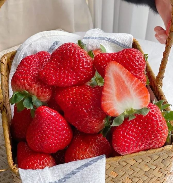 Exclusive Offer💥All-year-round strawberry seeds🍓
