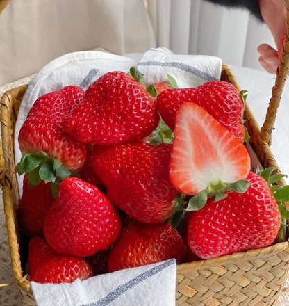 Exclusive Offer💥All-year-round strawberry seeds🍓