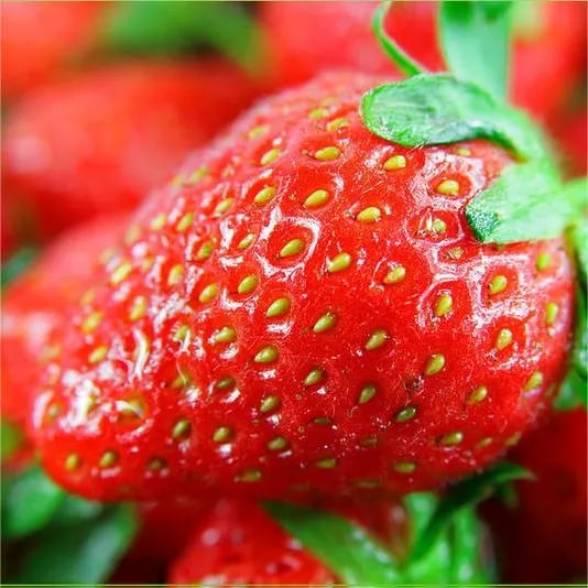 Exclusive Offer💥All-year-round strawberry seeds🍓